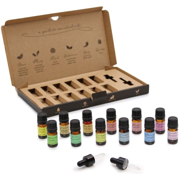 Aromatherapy Essential Oil Set Top 12 scaled